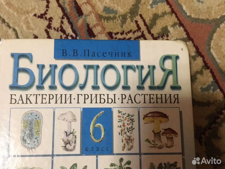 Биология 6 класс Пасечник