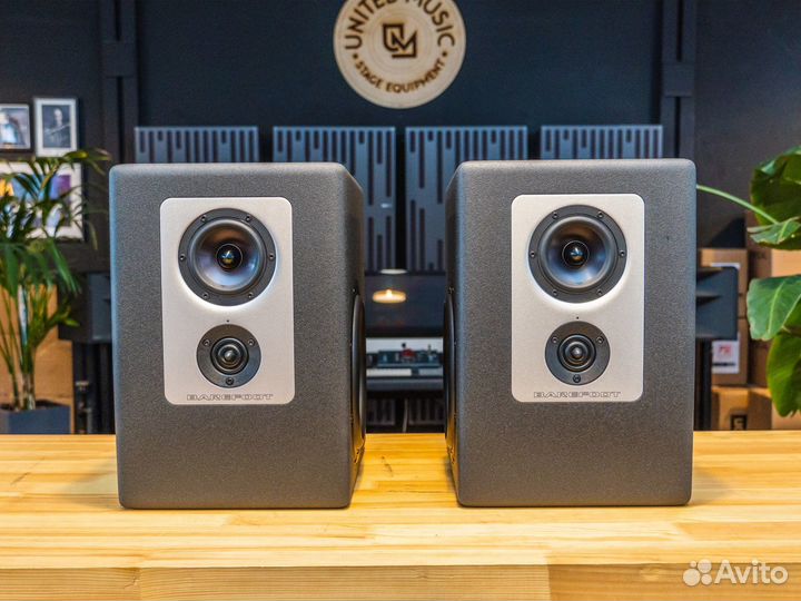 Barefoot Footprint 01 пара мониторов