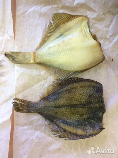 Рыба вяленая, Х/К и Г/К. Вакуумная упаковка