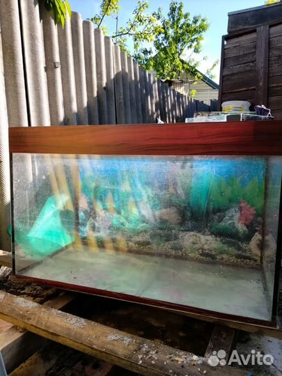 Аквариумы,коряги