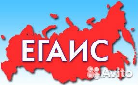 Подключить егаис, сдача декларации по пиву и алко