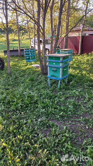 Улей для пчел бу