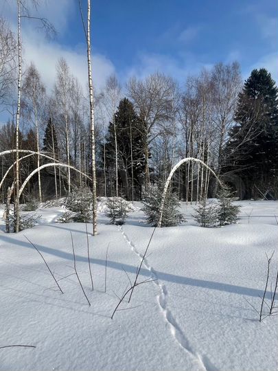 Участок 10 сот. (СНТ, ДНП)