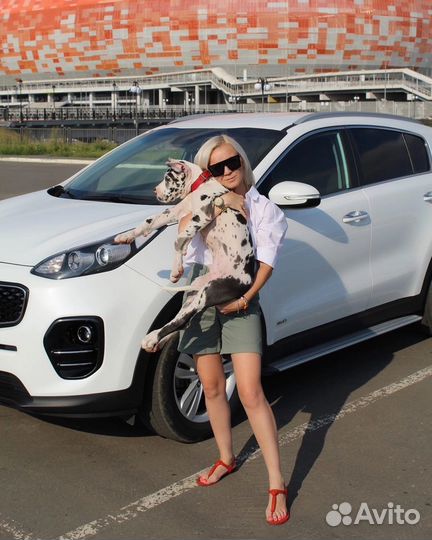 Курьер на л/а (междугородний)