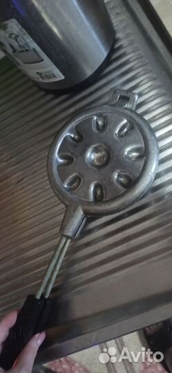 Орешница советская