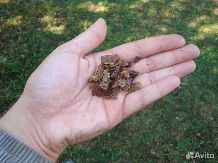 Натуральный Прополис