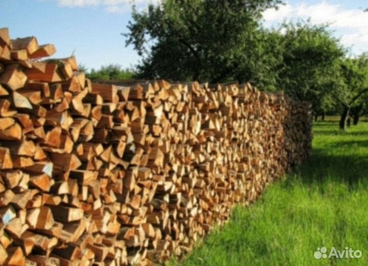 Дрова березовые колотые
