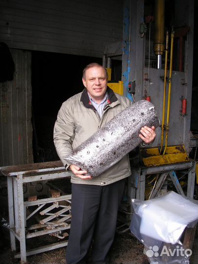 Субстраты грибов вешенки, грибные блоки