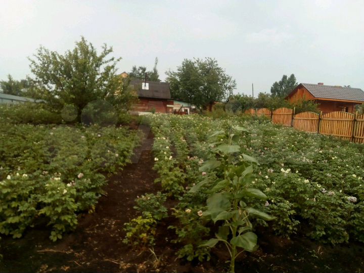 Участок 10 сот. (СНТ, ДНП)