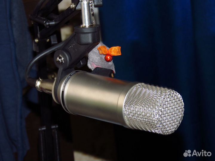 Rode Broadcaster Австралия студийный, shure sm7b