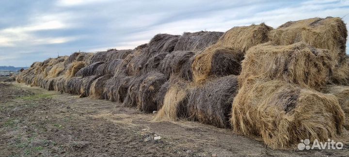 Отходы льна