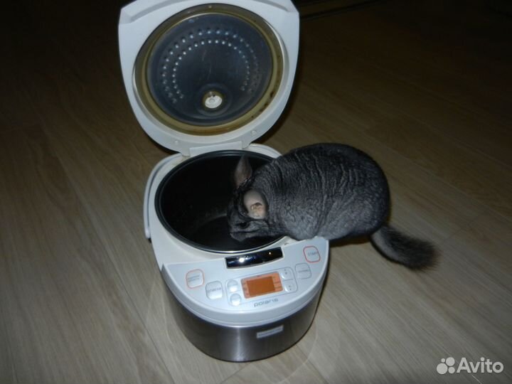 Мультиварка polaris pmc 0506ad