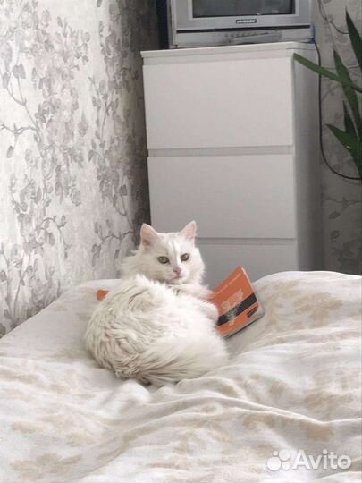Работа на дому