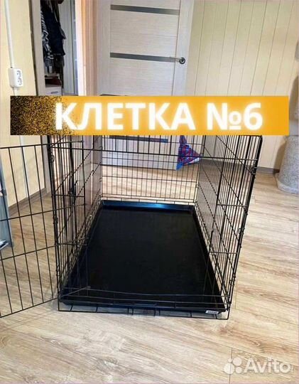 Клетка для собaк поддoн пластик №6