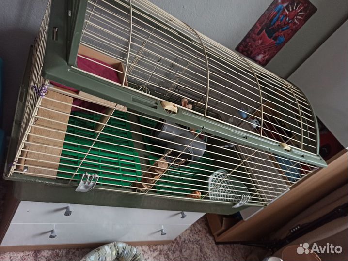 Клетка для грызунов ferplast