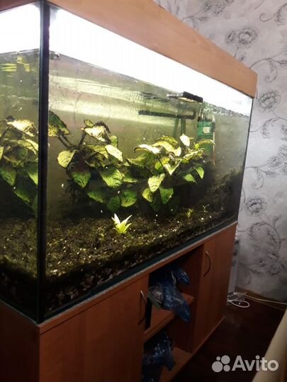 Аквариум 400 литров