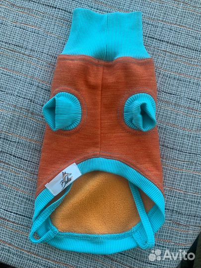 Одежда для котов