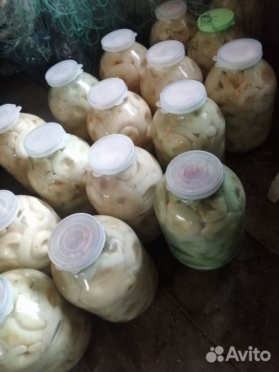 Грузди соленые