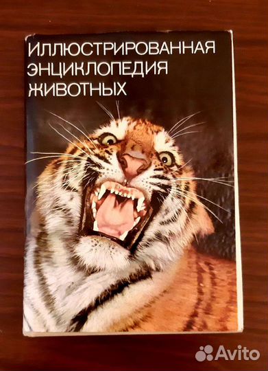 Иллюстрированная Энциклопедия животных