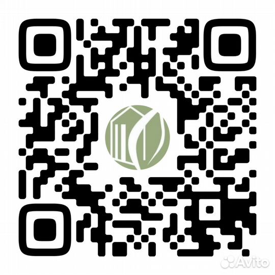 Хризантема