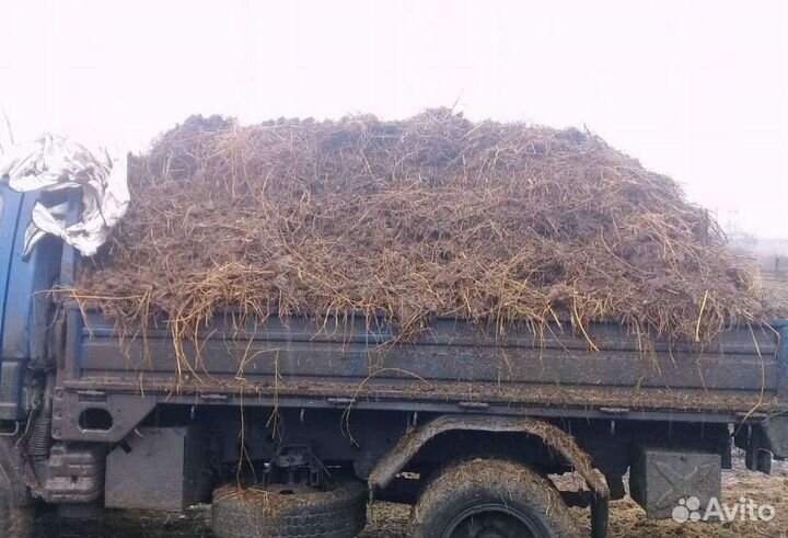 Перегной коровий конский с доставкой