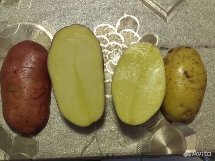 Картофель белый и розовый без болячек крупная