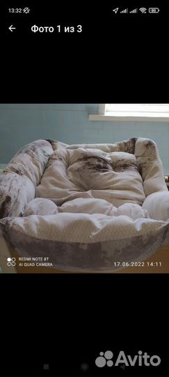 Лежанка для собак