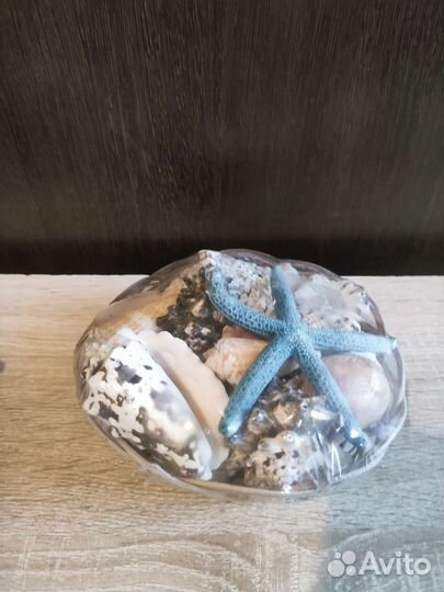 Декоративные ракушки