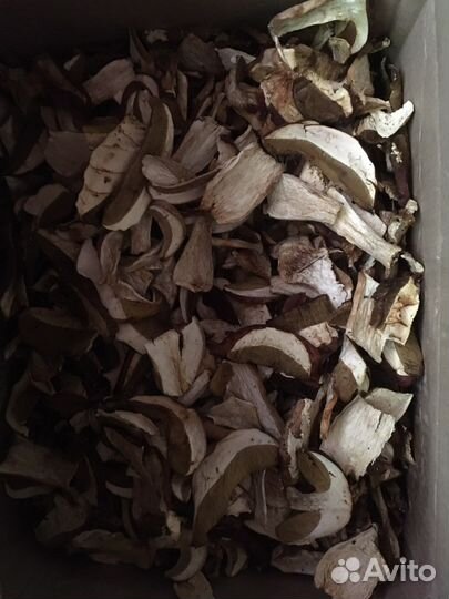 Продам белые сухие грибы из Соснового леса