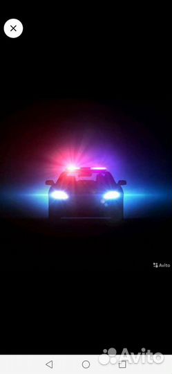 Служба в полиции