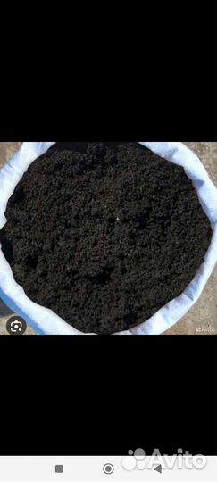 Продаю конский навоз