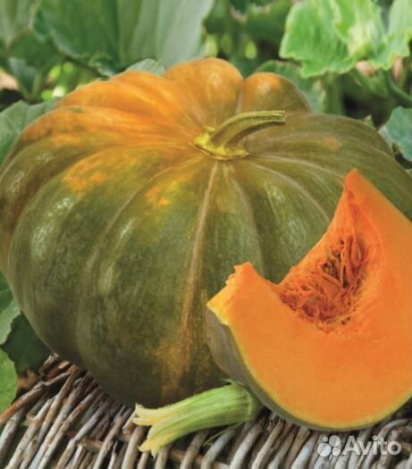 Тыква медовая мускатная на кашу, сок, манты