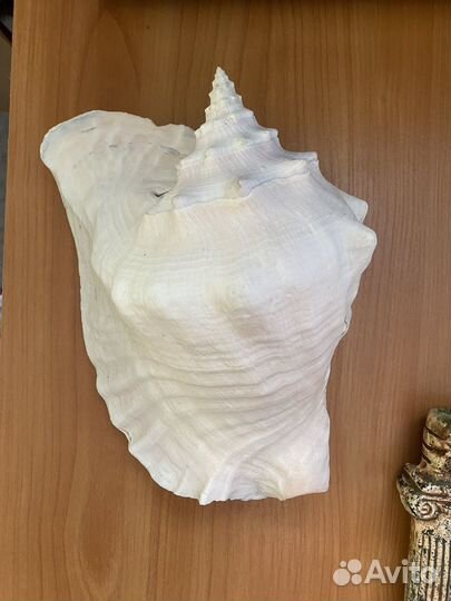 Аквариумный декор