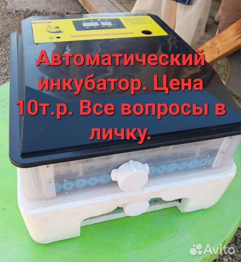 Инкубатор автоматический