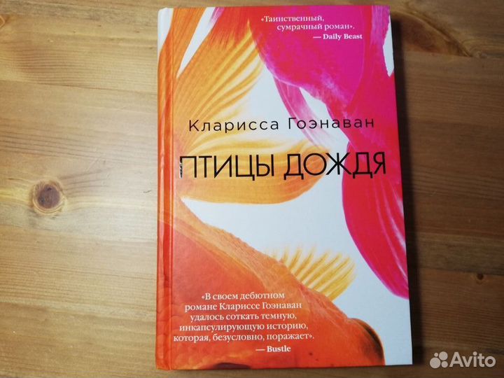 Кларисса Гоэнаван Птицы дождя