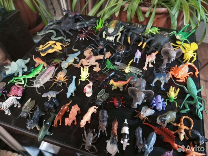 Коллекция животных цена за всё