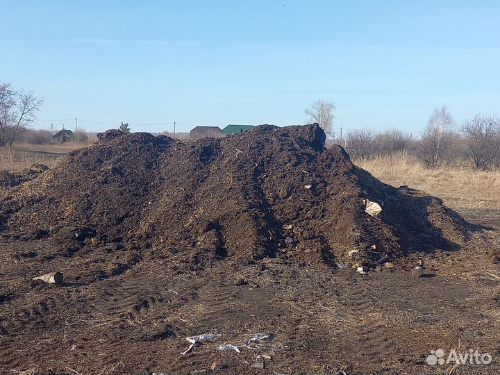 Дрова берёзовые колотые,сосновые,перегной