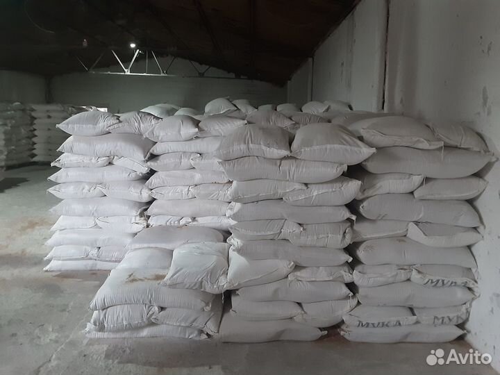 Отруби пшеничные оптом