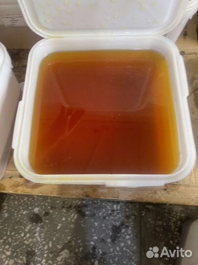 Алтайский луговой мед оптом