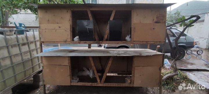 Кролики и клетки