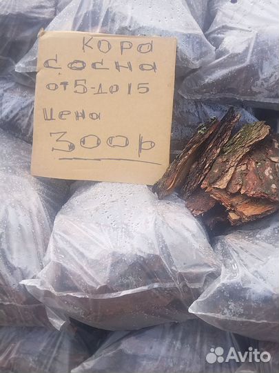 Кора продается