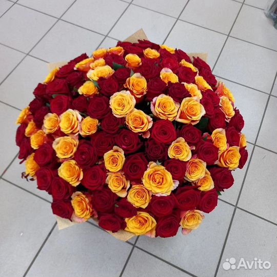 Роза Россия