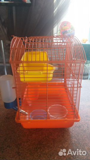 Клетка для джунгарика