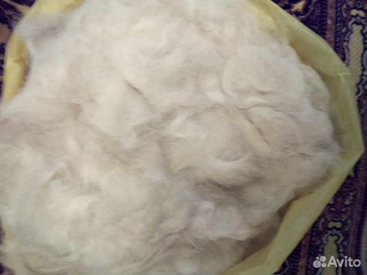 Шерсть собачья (пух)