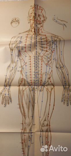 Гаваа Лувсан Традиционные и современные аспекты во