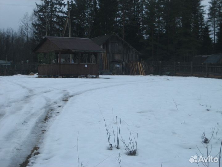 Фермерское хозяйство