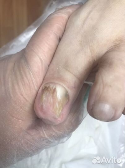 Подолог