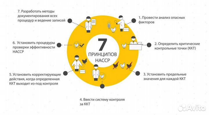 Хассп Разработка xaccp (пиво,напитки)