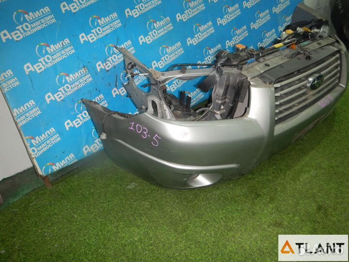 Nose cut subaru forester