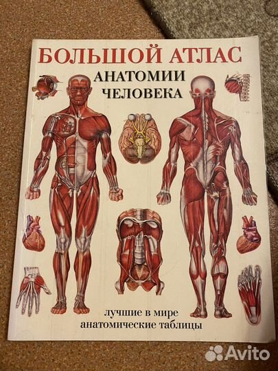 Большой атлас анатомии человека